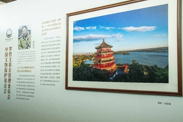 同行啊，呵呵