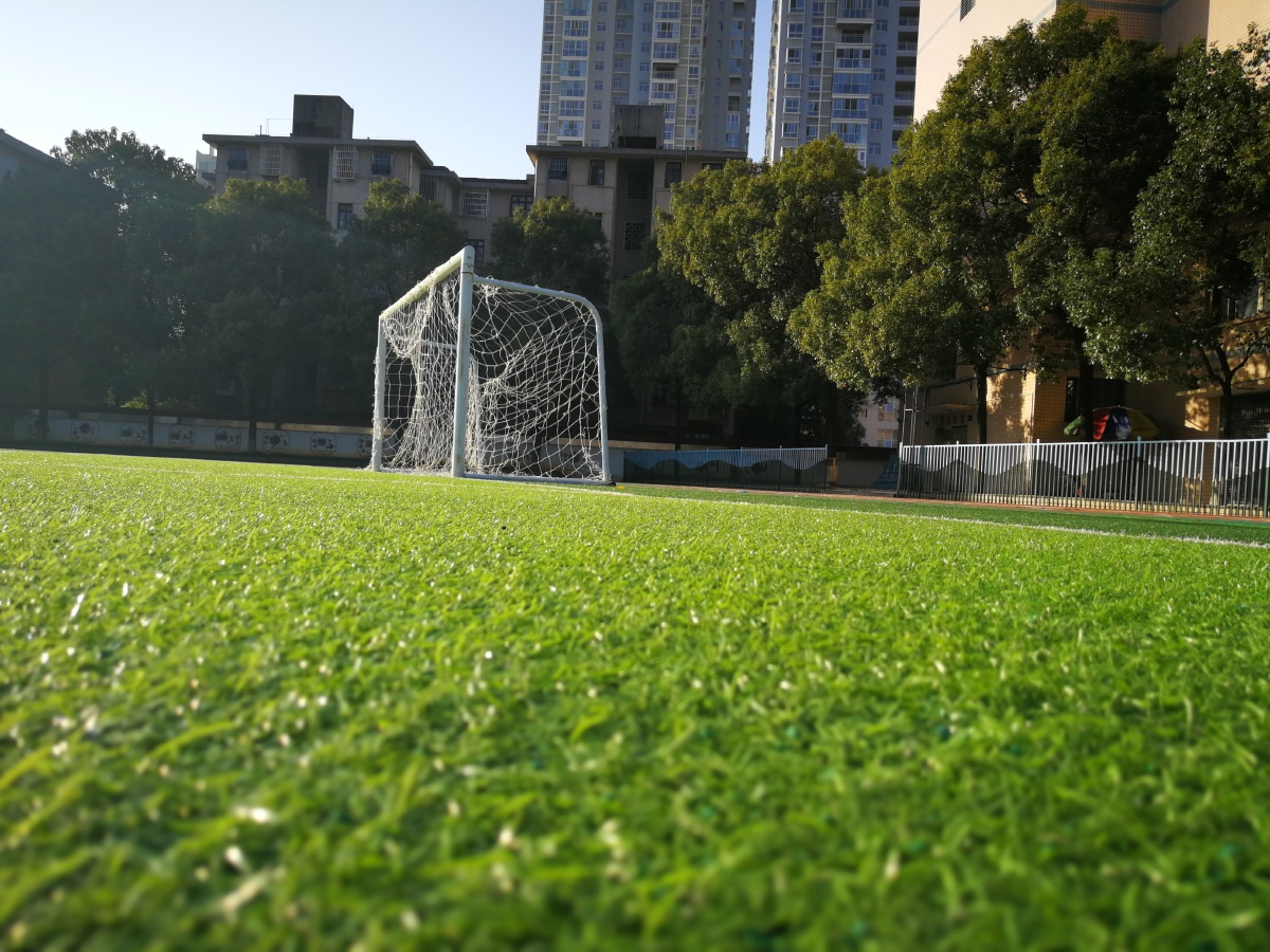 七堇年华不负君259