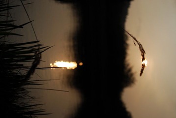 夕阳