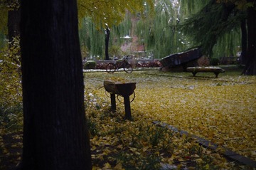 _IGP54091.jpg