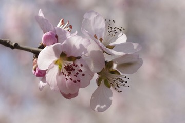 _IGP5797.jpg