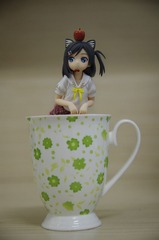 _IGP8705