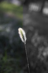 _IGP9347-2