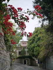 P1010490