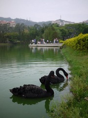 P1020072