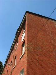 IMG_1071.JPG