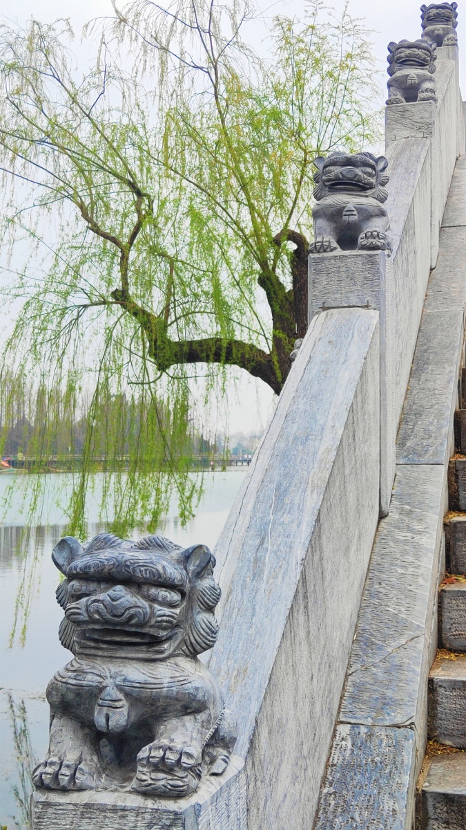 满城春色宫墙柳春来风景好