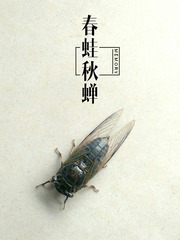 955162