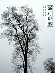 513367