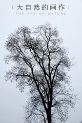 513366