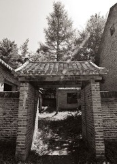 威虎山