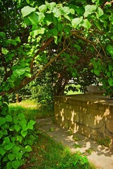 DSC_3502`.jpg