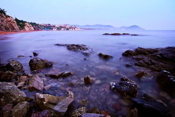 DSC_3310`.jpg