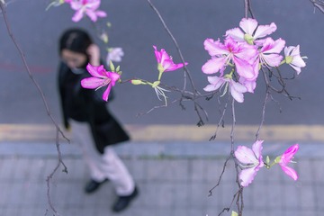 04545EEE-55D0-4A71-BE10-CC037EC39CAD/L0/001