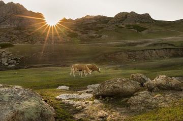 《夕照图》