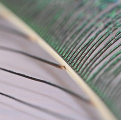 509830