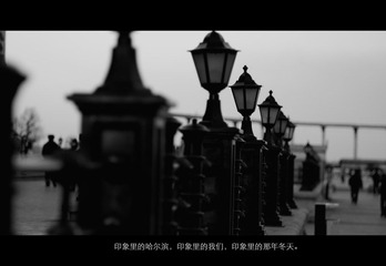 IMGP6765-编辑-2-2.jpg