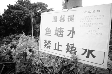 DSC07610.JPG