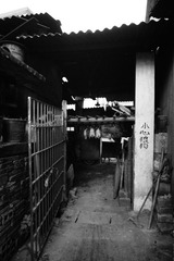 DSC07619.JPG