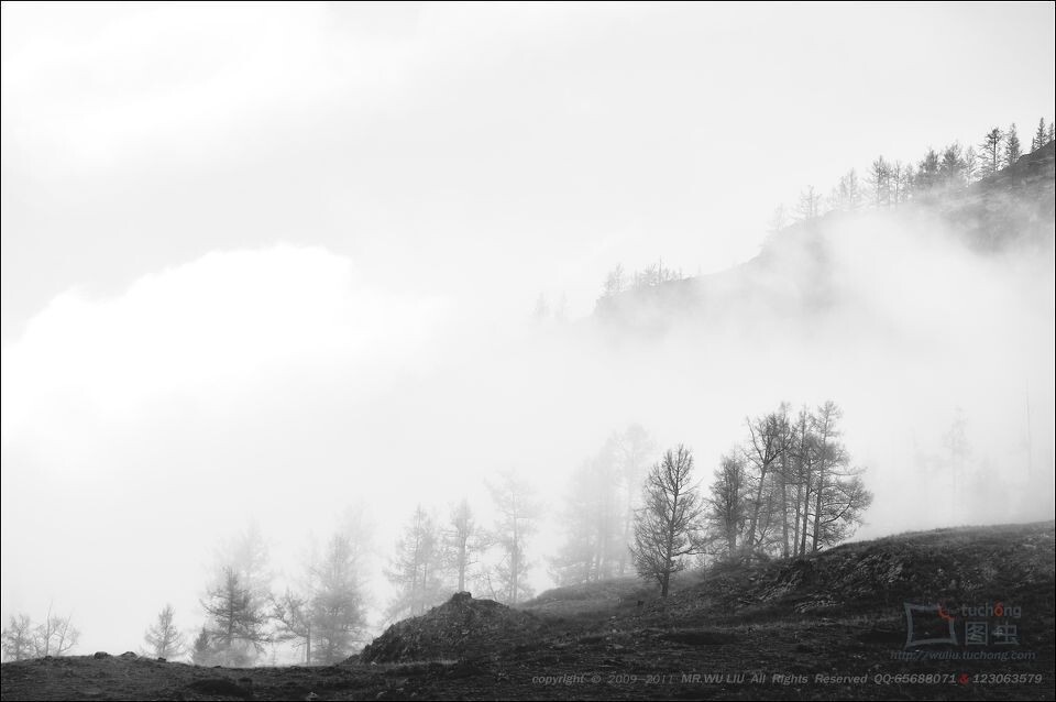 云雾南山<br />
采菊东篱下，悠然见南山