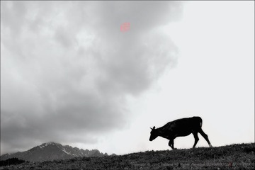寂静岭