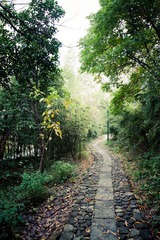 IMG_3965.jpg