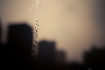 IMG_3983.jpg