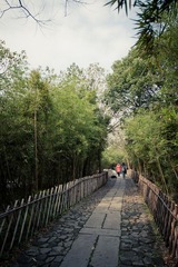 IMG_3855.jpg