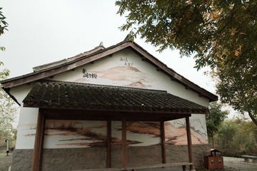 IMG_3863.jpg