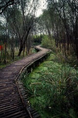 IMG_3900.jpg