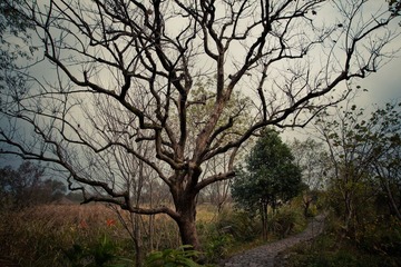 IMG_3904.jpg