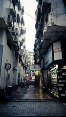DSC00501.jpg