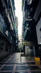 DSC00511.jpg