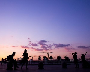 DSC01135.jpg