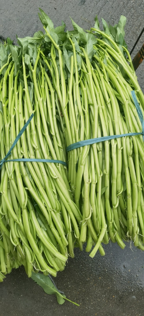 特色农产品#优质农产品#国家地理标志保护产品#广西博白特产空心菜