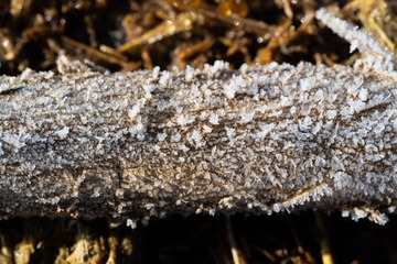 RYH_0040
