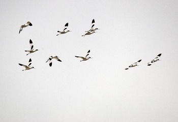 120310