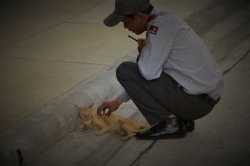 猫咪S04