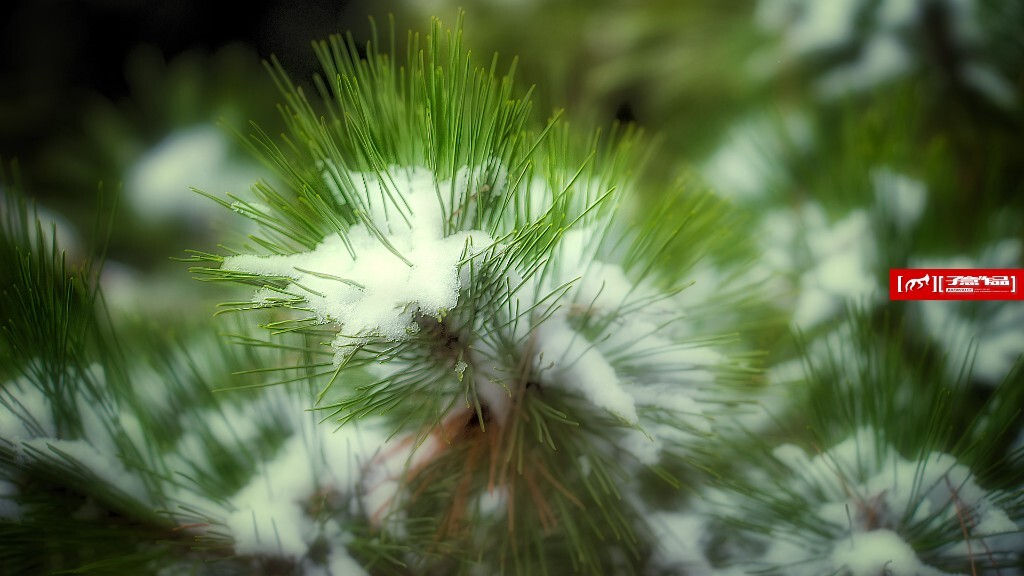 07.SONY ILCE-7+LAOWA STF105 F2 ISO320 EXPOSURE TIME-''500 PHOTOGRAPHER-ZIYI