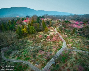 02.[ 梅花山 ] 4mm F2.8 ''25 ISO100 PHOTOGRAPHER-ZIYI