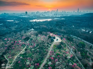 03.[ 梅花山 ] 4mm F2.8 ''30 ISO100 PHOTOGRAPHER-ZIYI