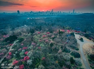 05.[ 梅花山 ] 4mm F2.8 ''120 ISO100 PHOTOGRAPHER-ZIYI