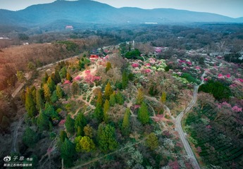 06.[ 梅花山 ] 4mm F2.8 ''25 ISO100 PHOTOGRAPHER-ZIYI