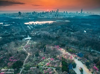07.[ 梅花山 ] 4mm F2.8 ''120 ISO100 PHOTOGRAPHER-ZIYI