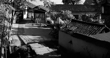IMG_1862.jpg