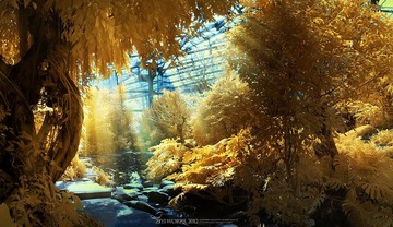 植物园2.jpg