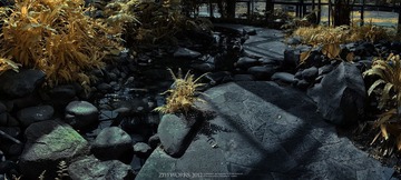 植物园7.jpg