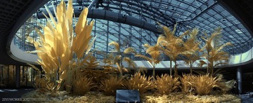 植物园11.jpg