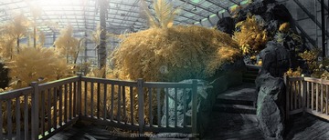 植物园12.jpg