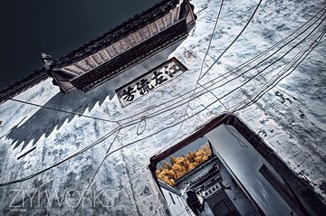 IMG_9823_4_5_fused.jpg